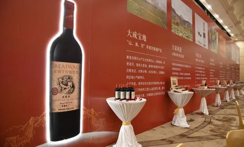 華夏九二 書(shū)寫(xiě)新時(shí)代國(guó)產(chǎn)紅酒經(jīng)典的深圳啟航